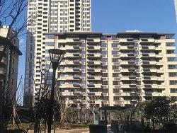 安徽蚌埠槐花园D区分体式阳台壁挂项目2218套