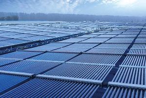 微山湖南四湖渔业有限公司