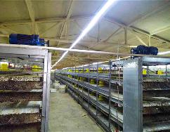 新能源养殖合作案例